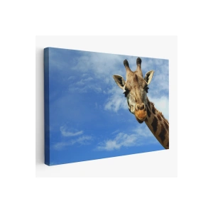 Zürafa Dekoratif Kanvas Tablo 1116