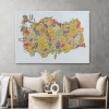 Türkiye Haritası Kanvas Tablo İl ve İlçeli Ayrıntılı Eğitici Dekoratif Tablo 3042