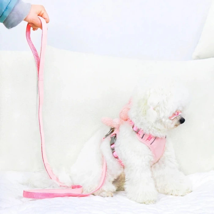 Evcil Hayvan Peluş Ayıcıklı Göğüs Gezdirme Tasması Set