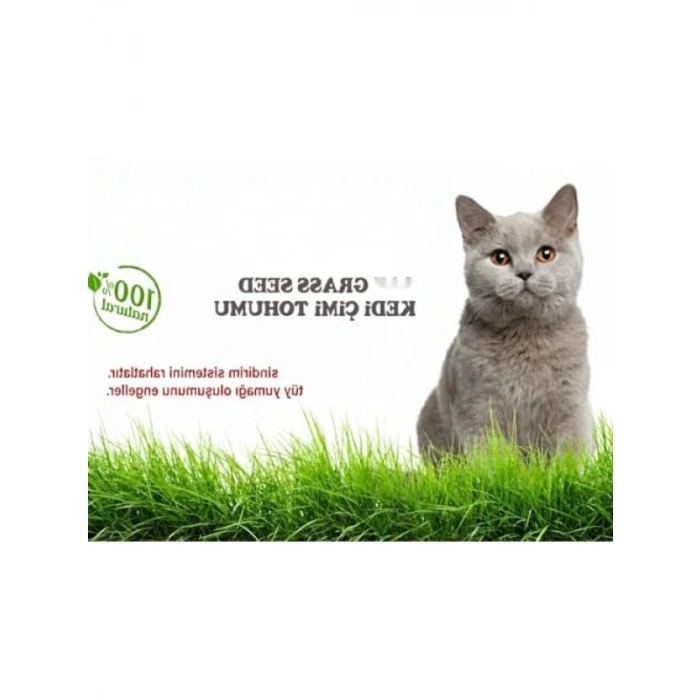 %100 Doğal Kedi Çimi Tohumu Karışımı - Arpa, Buğday, Yulaf (500 Gram)
