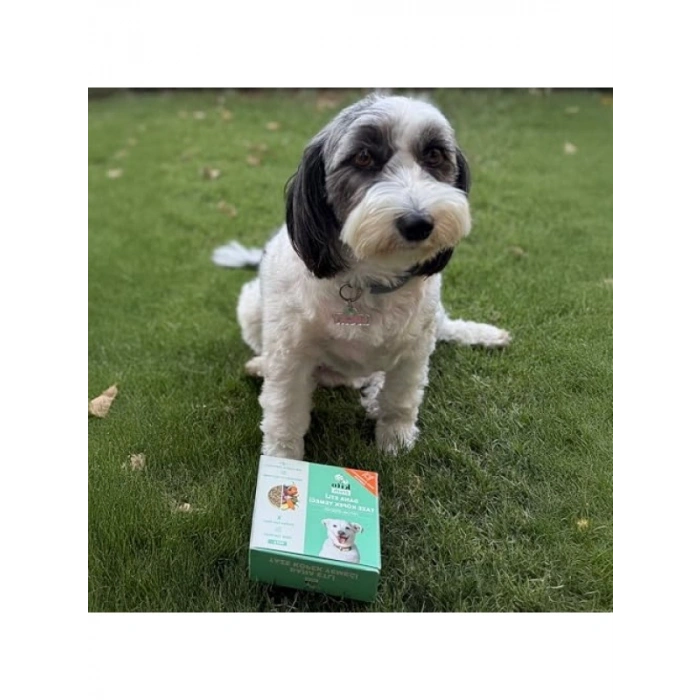 %100 Taze İçerikli Dana Etli Köpek Maması 250 Gr