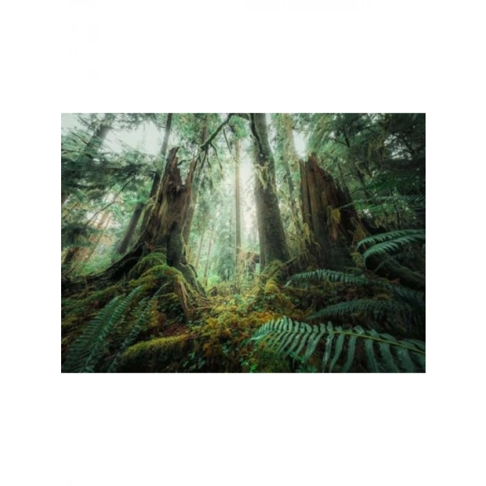 1000 Parça Orman Temalı Puzzle