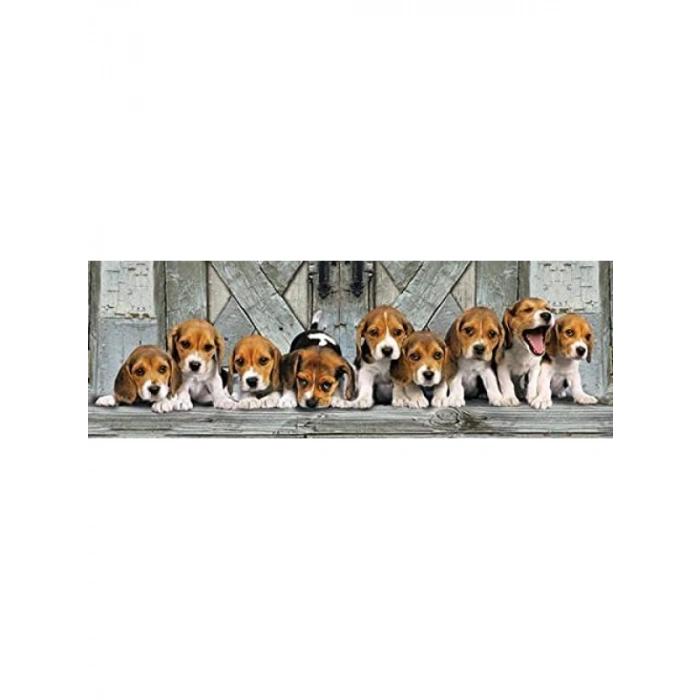 1000 Parça Yetişkin Puzzle – Beagle Temalı Panorama