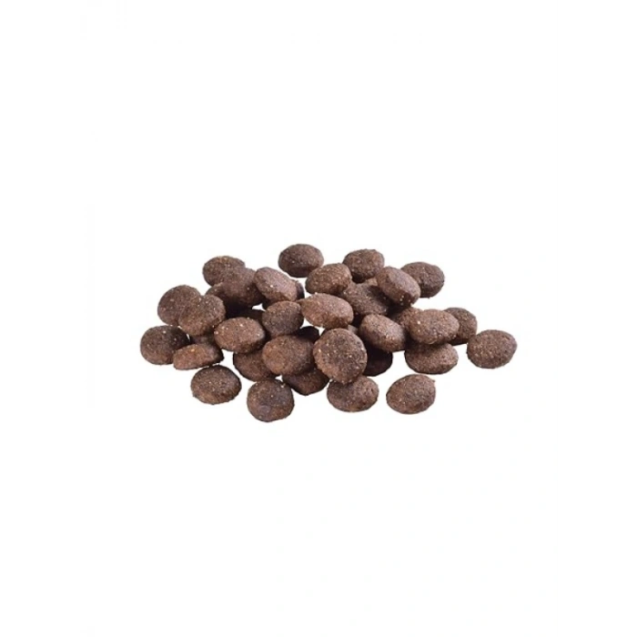 12 kg Somon Balıklı Tahılsız Kuru Mama