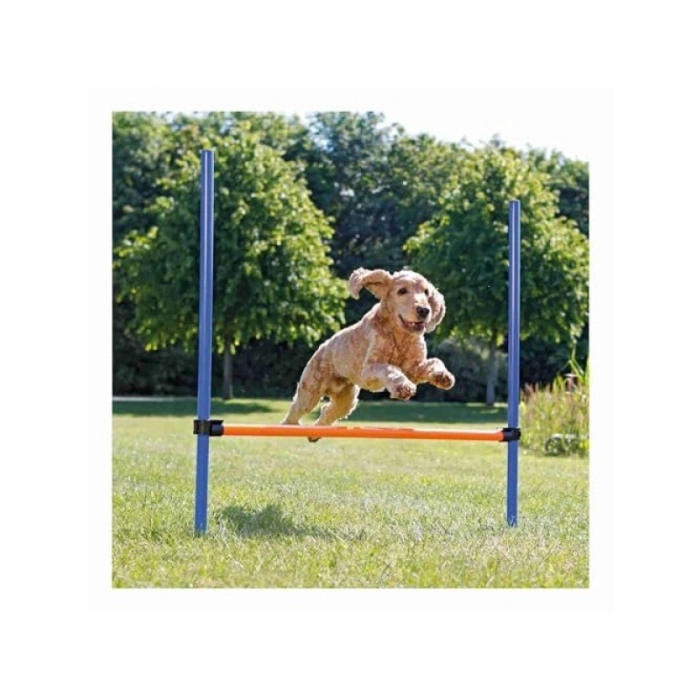123x115xØ3 cm Köpek Agility Eğitim Manisi