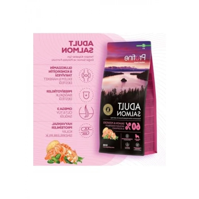 12kg Somon Etli Glutensiz Yetişkin Köpek Maması