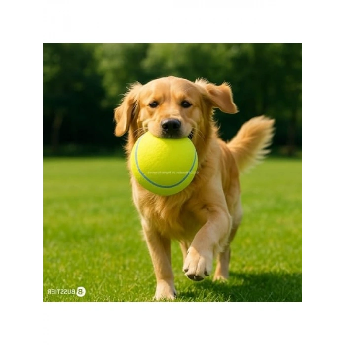 14 cm Boyutunda Dayanıklı Tenis Topu Köpek Oyuncağı