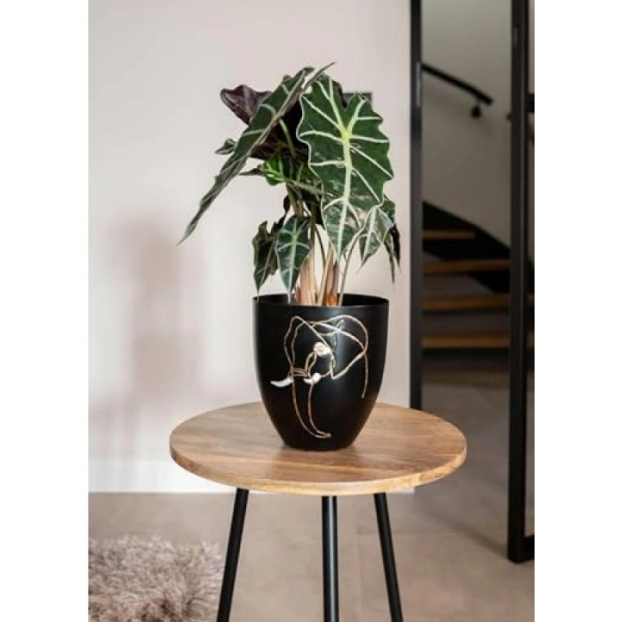 16 cm Çapında Fil Desenli Siyah Metal Saksı