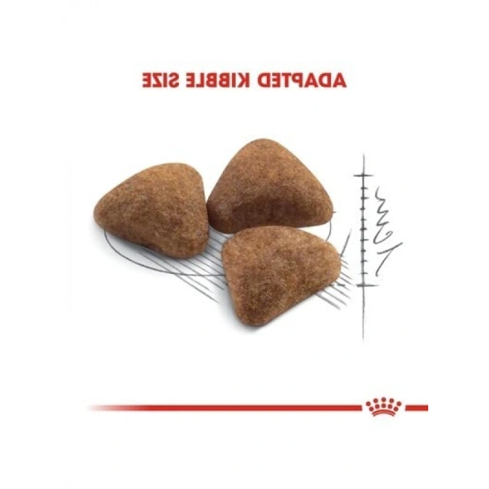 2 Kg Sindirim Destekleyici Kedi Maması