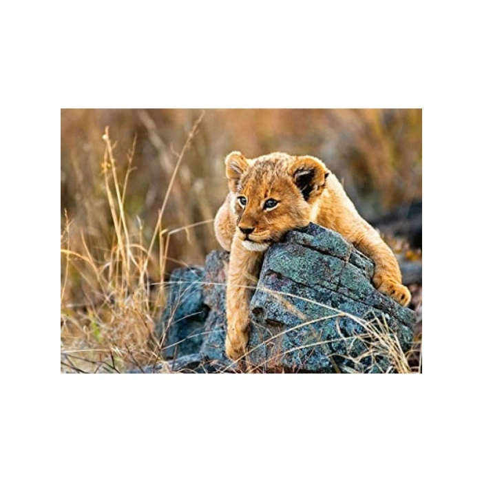 200 Parça Aslan Temalı Puzzle - Kaliteli Zihin Geliştirme Oyunu