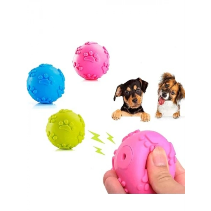 3 Adet Pati Desenli Küçük Boy Köpek Isırma Topu