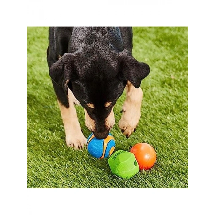 3lü Köpek Oyun Topu Seti - Farklı Oyun Deneyimleri