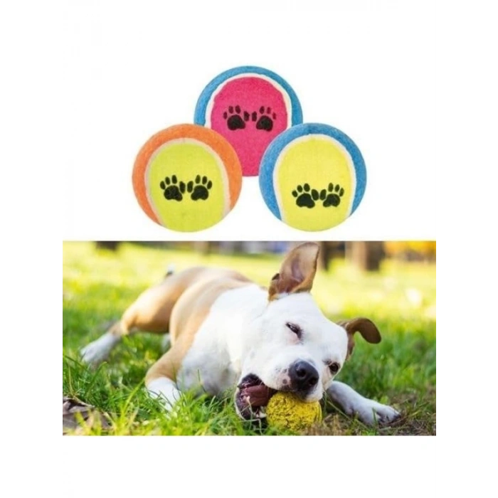 3lü Renkli Desenli Tenis Topu - Kedi ve Köpek Oyuncağı