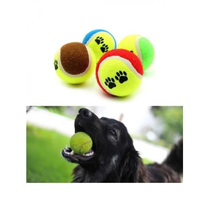 3lü Renkli Desenli Tenis Topu - Kedi ve Köpek Oyuncağı