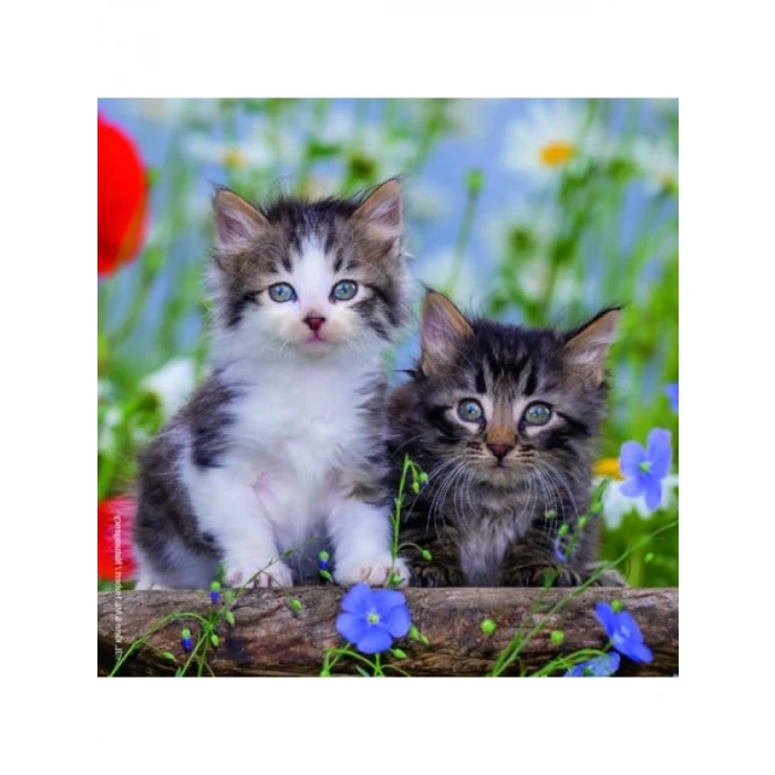 3 X 49 Parça Eğlenceli Puzzle Seti