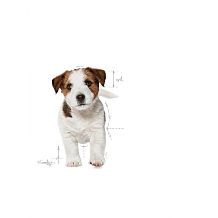 4 kg Mini Puppy Kuru Yavru Köpek Maması