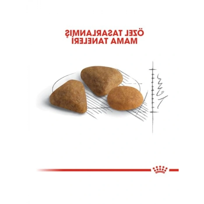 4 Kg Özel Besinli Kuru Kedi Maması