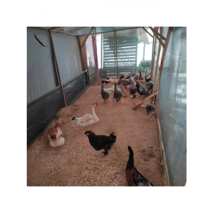 %40 Gölgeleme Özellikli Dayanıklı Sera Gölgelik File - 2m x 4m