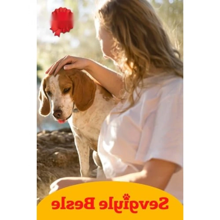 400 G Jöleli Sığır ve Ciğer Karışımlı Yaş Köpek Maması