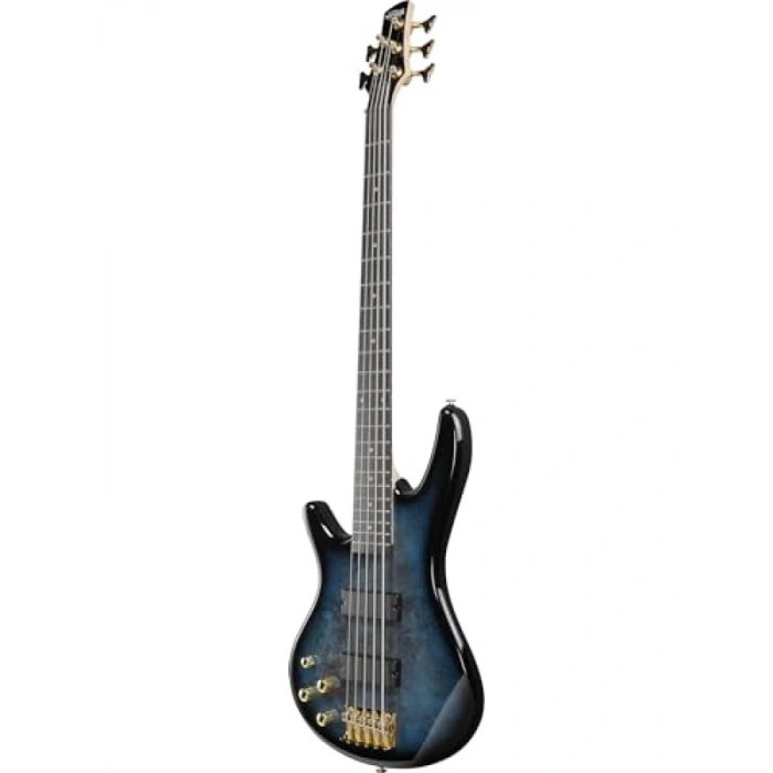 5 Telli Bas Gitar - Yüksek Ses Kalitesi