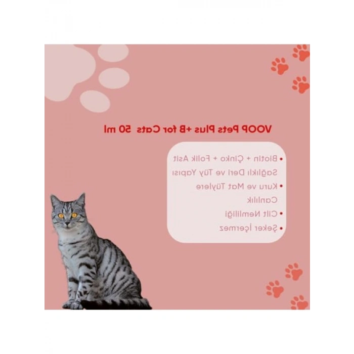 50 ml Tamamlayıcı Kedi Yemi, B Vitamini Kompleksi