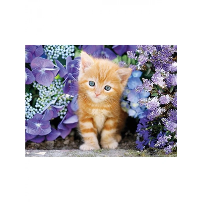 500 Parça Kaliteli Yetişkin Puzzle - Zambaklar İçinde Zencefil Kedisi