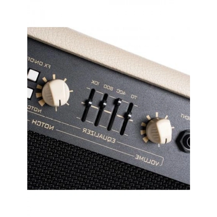 60W Çift Girişli Akustik Gitar ve Bağlama Amfisi