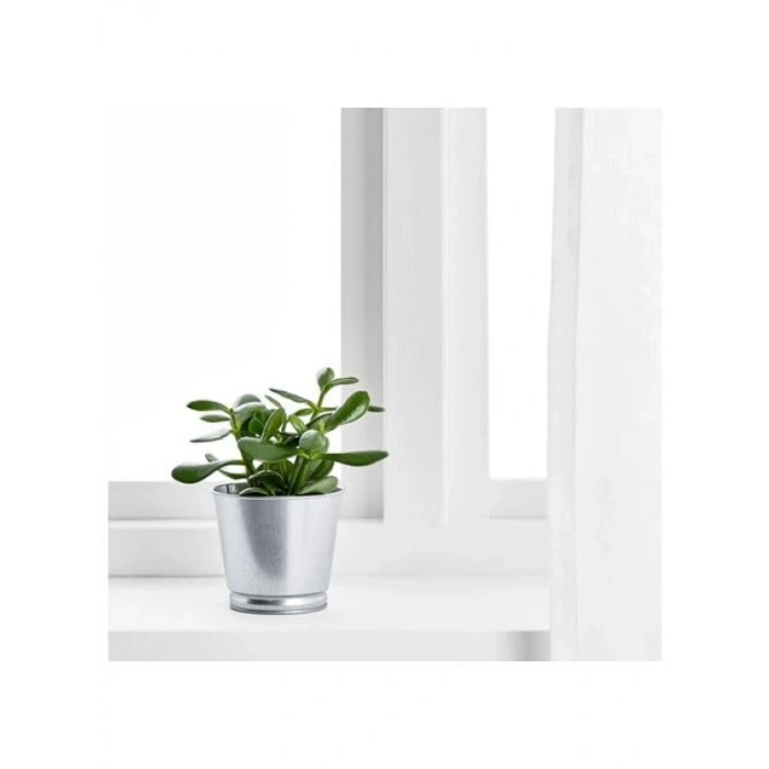 9 cm Galvanizli Gümüş Renk Bitki Saksısı