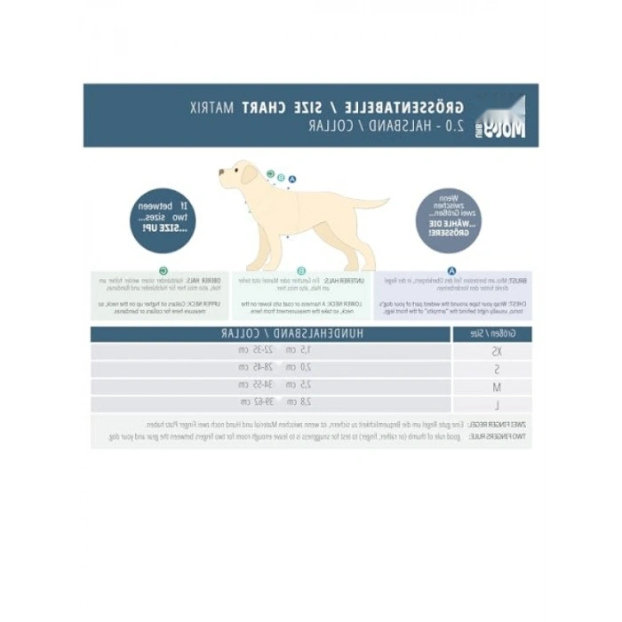 Akıllı Kimlik Sistemli Köpek Boyun Tasması - Konforlu ve Güvenli