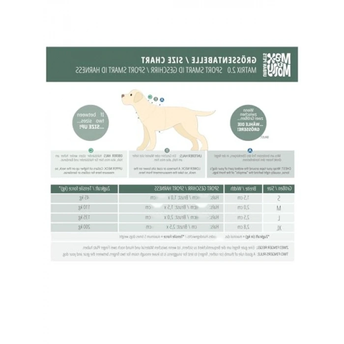 Akıllı Künyeli Sport Köpek Göğüs Tasması - Konforlu ve Güvenli