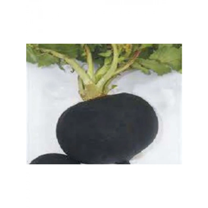 Akın Siyah Turp Tohumu - 10 Gram