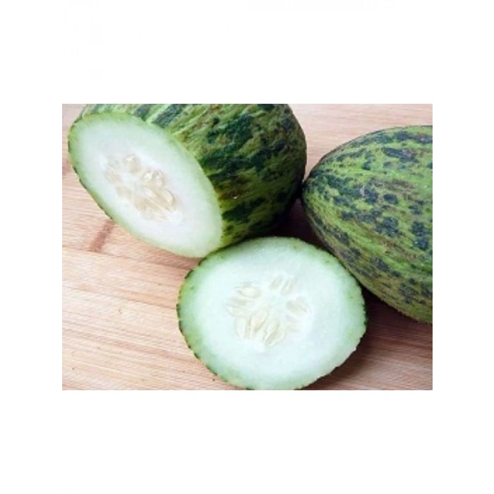 Aksel Kelek Hıdır Tohumu - 10 gr