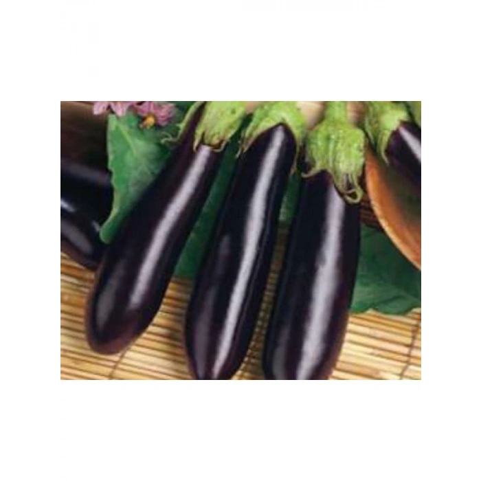Aksel Patlıcan Kemer Tohumu - 10 gr