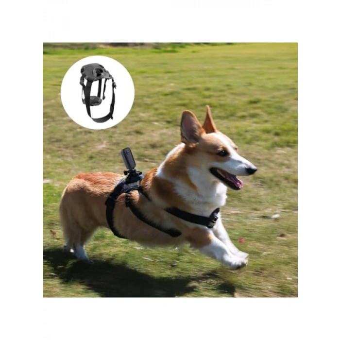 Aksiyon Kamerası için Köpek Montaj Kemeri