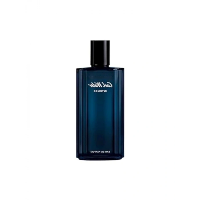 Aromatik Meyvemsi Erkek Parfümü, 125 ml