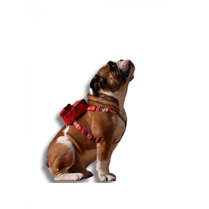 Ayarlanabilir Çantalı Göğüs Tasması ile Çok Cepli Köpek Sırt Çantası