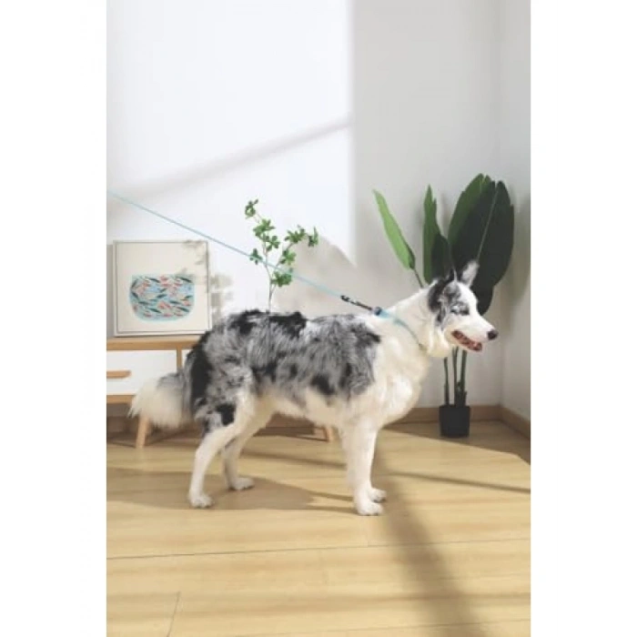 Ayarlanabilir Küçük Köpek Gezdirme Kayışı - Rahat Kullanım