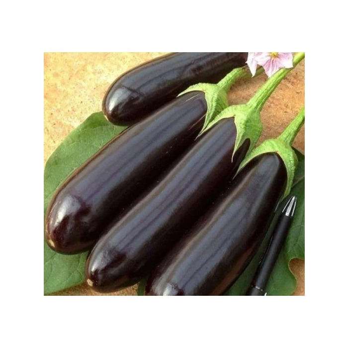 Aydın Siyah Patlıcan Tohumu - 5 Gram