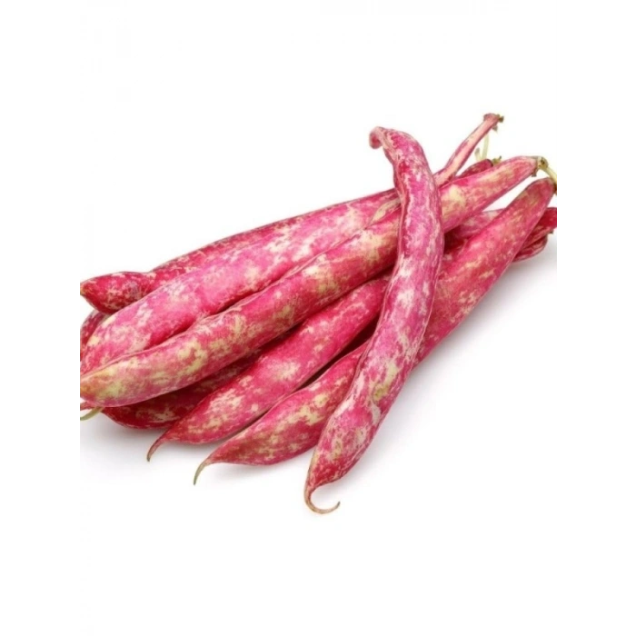 Barbunya Tohumu (Çoklu) - 25 Gram