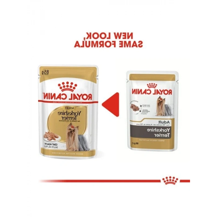 Besleyici Yorkshire Konserve Köpek Maması 12 x 85 Gr