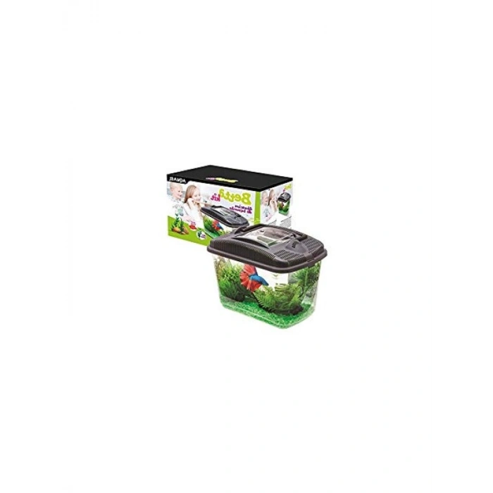 Betta Balığı İçin Akvaryum Seti