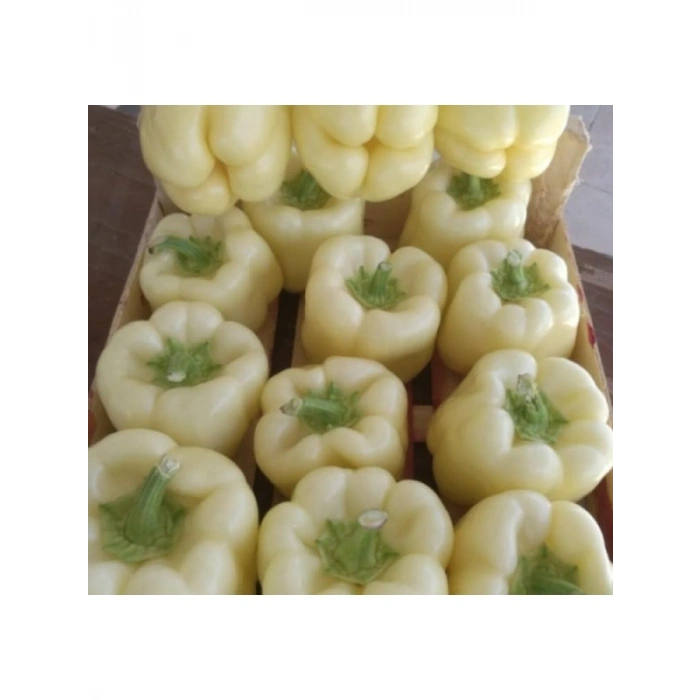 Beyaz Dolmalık Biber Tohumu - 3 Gram
