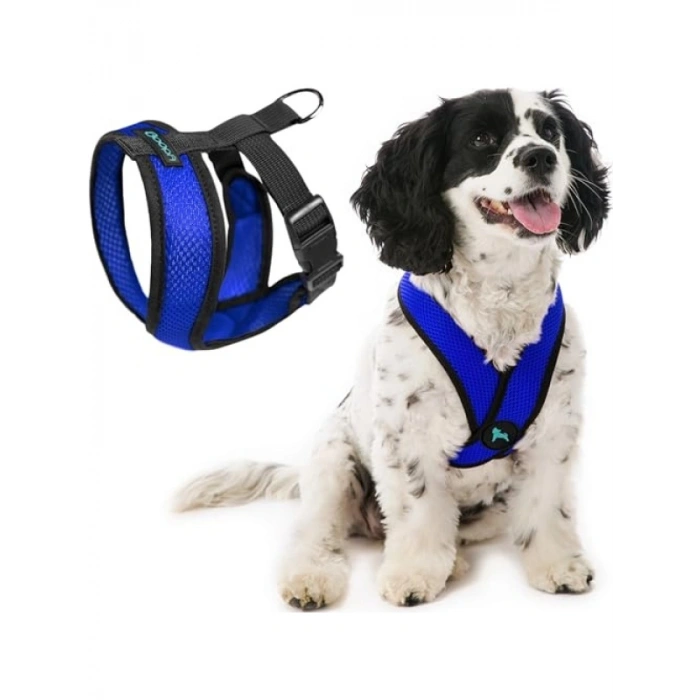 Boğulma Engelleyici Küçük Köpek Tasma, Patentli Tasarım, M Boy
