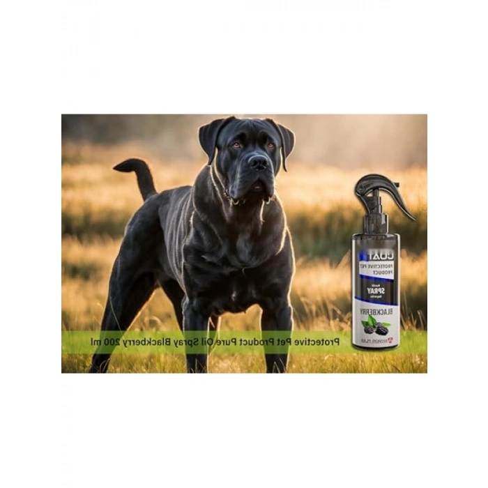 Böğürtlen Kokulu Köpek Bakım Spreyi, 75 ml