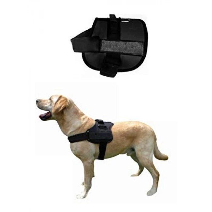 Büyük Irk Köpek İçin Rahat Eğitim Göğüs Tasması