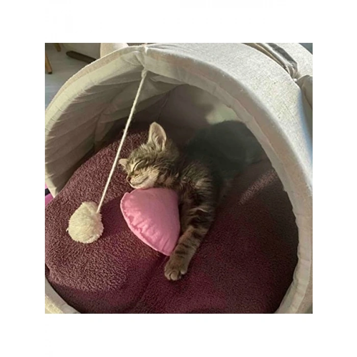 Catnip ve Kedi Zili İçeren Dinamik Kedi Oyuncağı