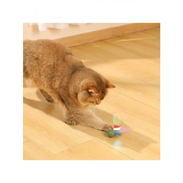 Catnipli Renkli Kedi Oyuncağı, Güvenli ve Eğlenceli