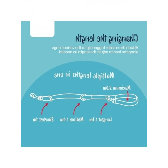 Çekme Önleyici Eğitim Tasma Kayışı - S Boy, Siyah, 2 M
