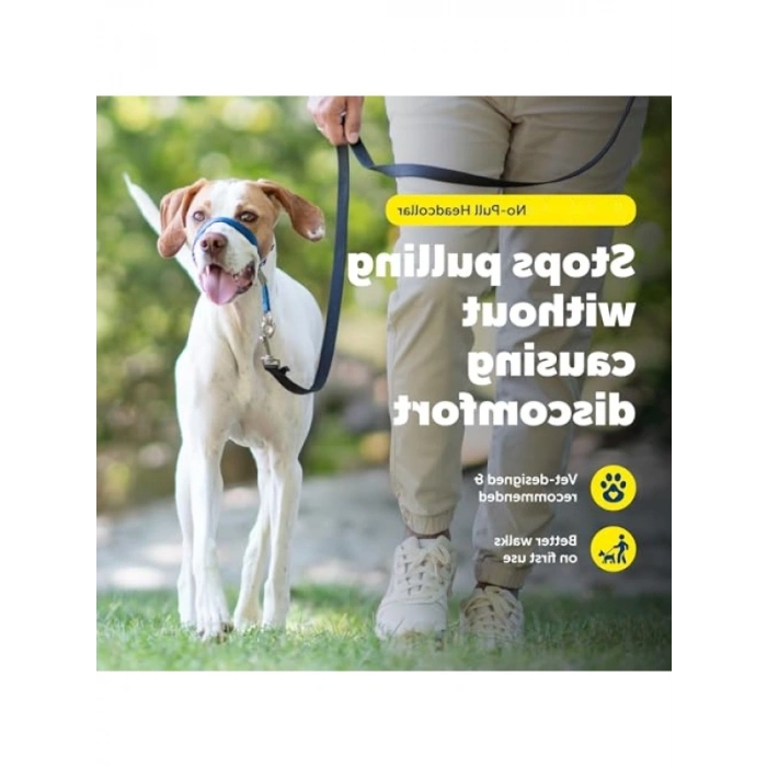 Çekmesiz Köpek Yaka - Yürüyüş Kontrolü için İdeal Çözüm