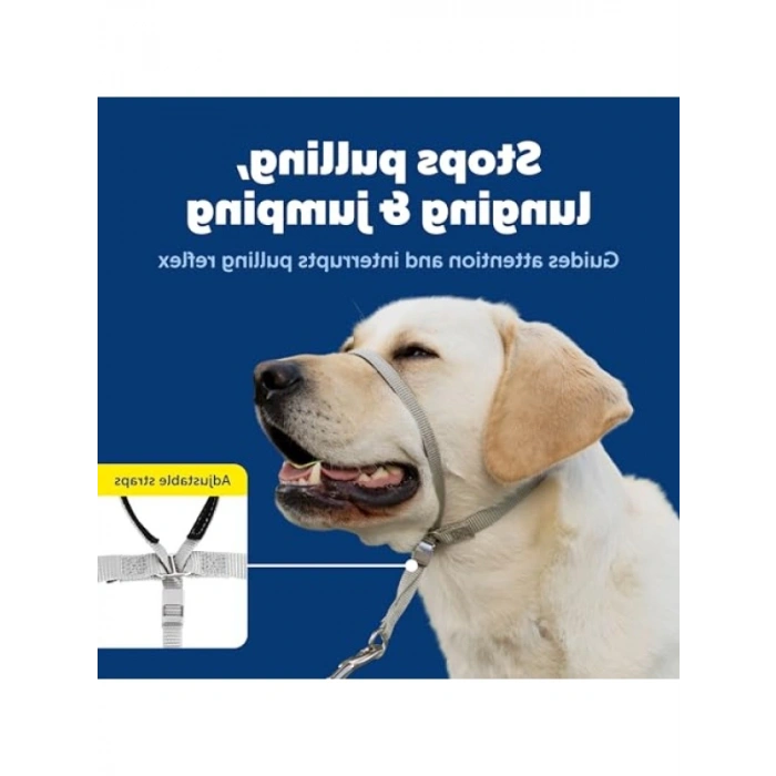 Çekmesiz Köpek Yaka - Yürüyüş Kontrolü için İdeal Çözüm
